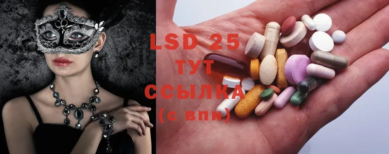 OMG как зайти  дарнет шоп  Канаш  Лсд 25 экстази ecstasy 